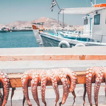 Brand New Cozy With Balcony At The Center Of Apartament Nausa