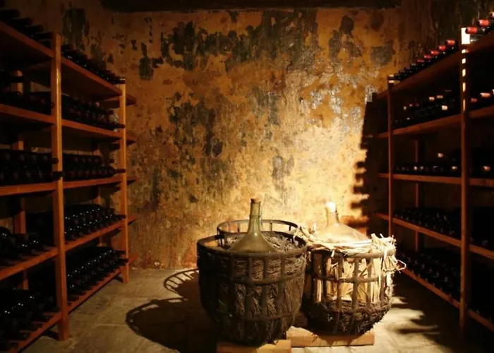 Brand New Cozy With Balcony At The Center Of * ناوسا